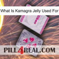 What Is Kamagra Jelly Used For 32